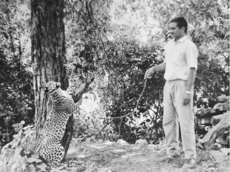 WhatsApp Image 2025-02-24 at 11.13.35_77eb09a1 1